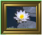 ImageFrame.png